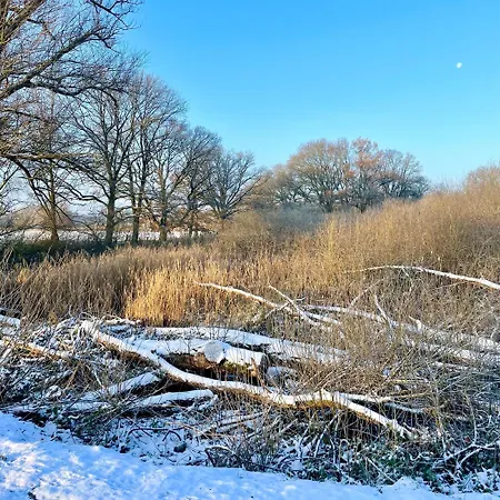 Gemuetliches Tiny House Mit Blick Ins Gruene 208 * Блеккеде