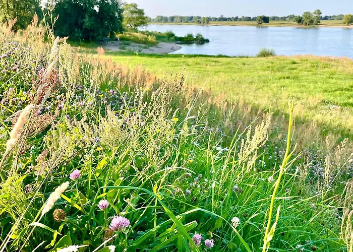 Σπίτι διακοπών Gemuetliches Tiny House Mit Blick Ins Gruene 208 Bleckede